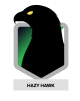 New cyber threat 'Hazy Hawk' hijacks major domains – Are you at risk?