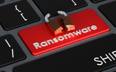 64% of Australian companies hit with ransomware ‘forced to halt operations’: study